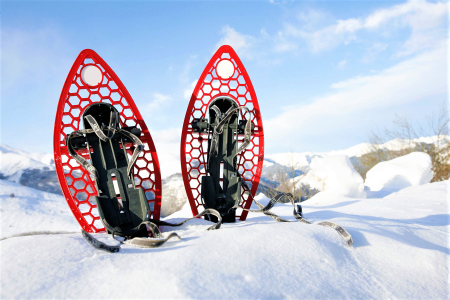 Balades Raquettes en famille à Val d'Isère, Les 2 Alpes ..