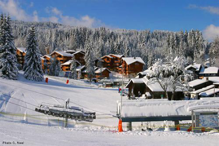 Morillon