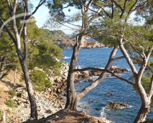 Guide de la location de vacances à Bandol - 1074 - campings