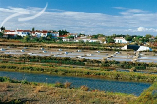 Guide de la location de vacances à Noirmoutiers en l'ile - 495 - campings